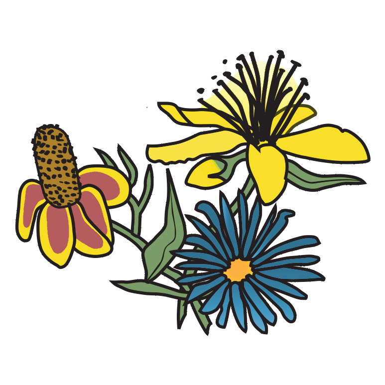 Wildflowers flipped<br />
